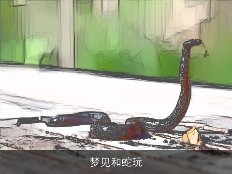 梦见和蛇玩