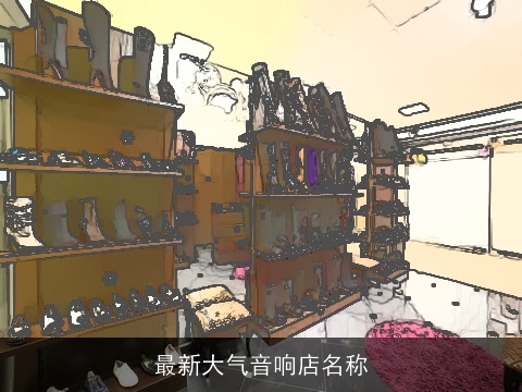 最新大气音响店名称