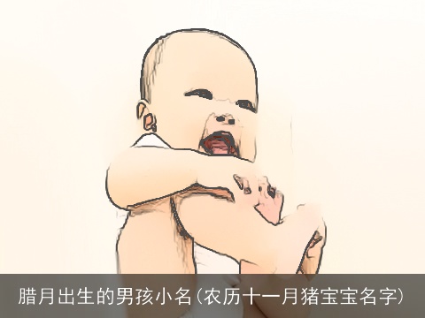 腊月出生的男孩小名(农历十一月猪宝宝名字)
