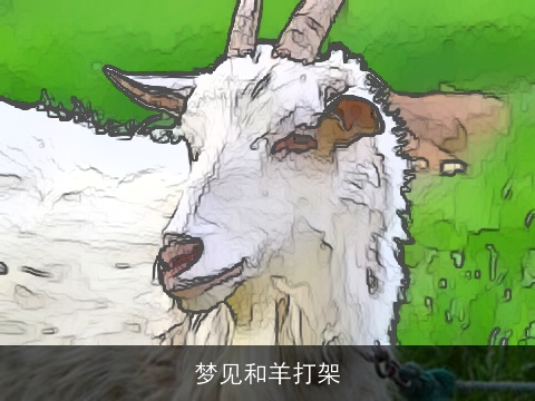 梦见和羊打架