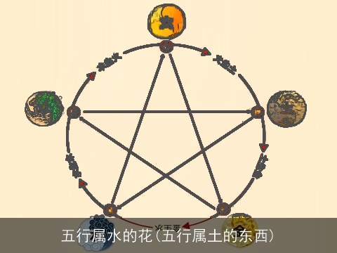 五行属水的花(五行属土的东西)