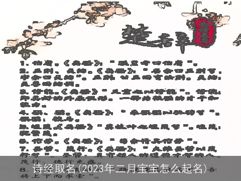 诗经取名(2023年二月宝宝怎么起名)
