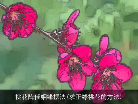桃花阵催姻缘摆法(求正缘桃花的方法)