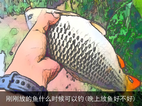 刚刚放的鱼什么时候可以钓(晚上放鱼好不好)