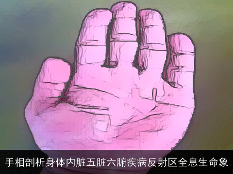 手相剖析身体内脏五脏六腑疾病反射区全息生命象