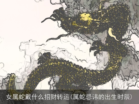 女属蛇戴什么招财转运(属蛇忌讳的出生时辰)