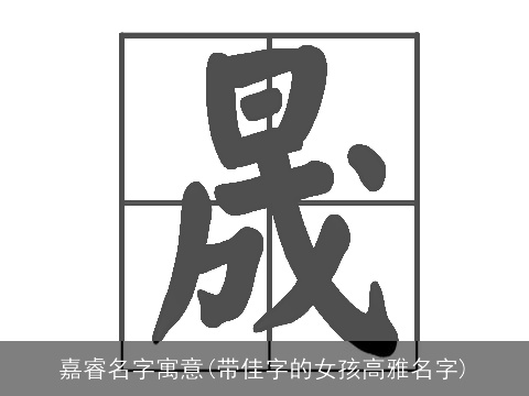 嘉睿名字寓意(带佳字的女孩高雅名字)