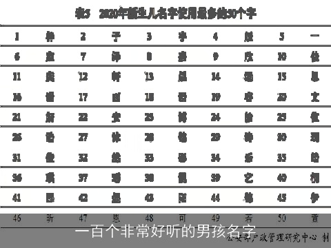一百个非常好听的男孩名字