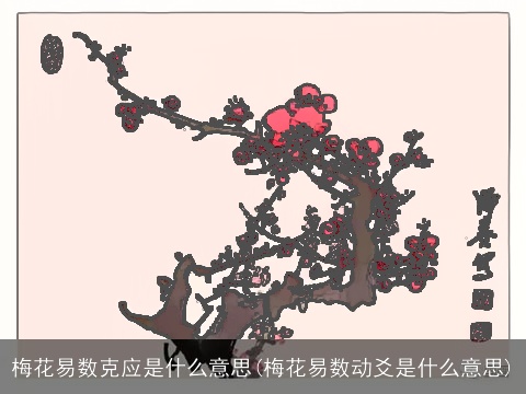 梅花易数克应是什么意思(梅花易数动爻是什么意思)