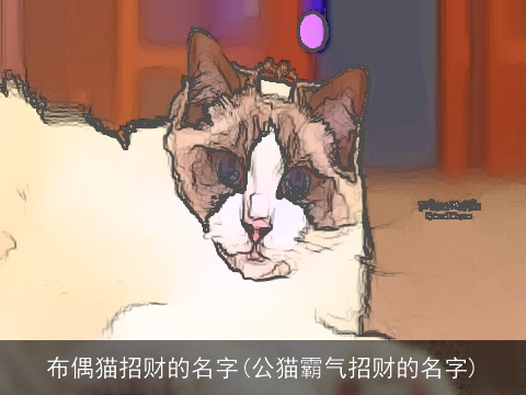 布偶猫招财的名字(公猫霸气招财的名字)
