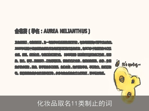 化妆品取名11类制止的词