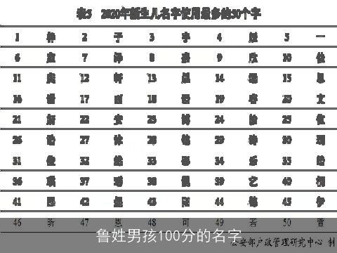 鲁姓男孩100分的名字