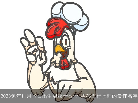 2023兔年11月19日出生男孩什么命 男孩五行水旺的最佳名字