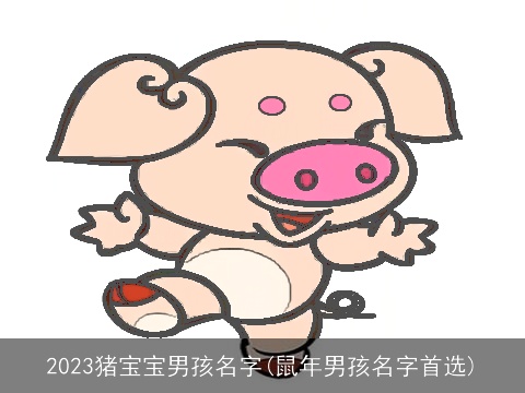 2023猪宝宝男孩名字(鼠年男孩名字首选)