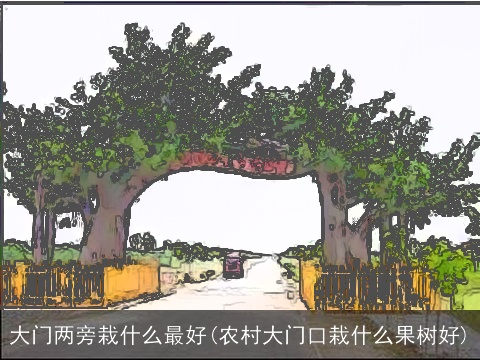 大门两旁栽什么最好(农村大门口栽什么果树好)