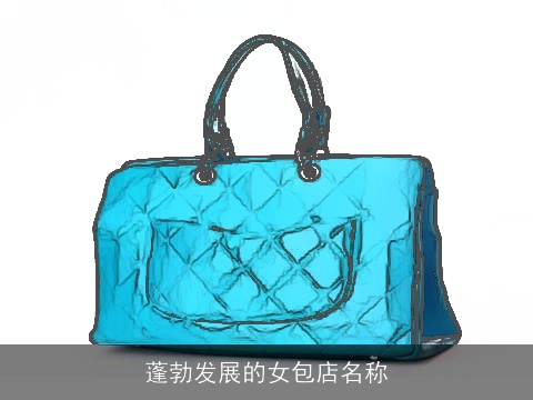 蓬勃发展的女包店名称
