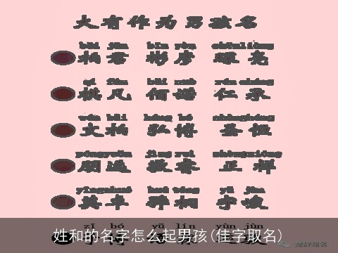 姓和的名字怎么起男孩(佳字取名)