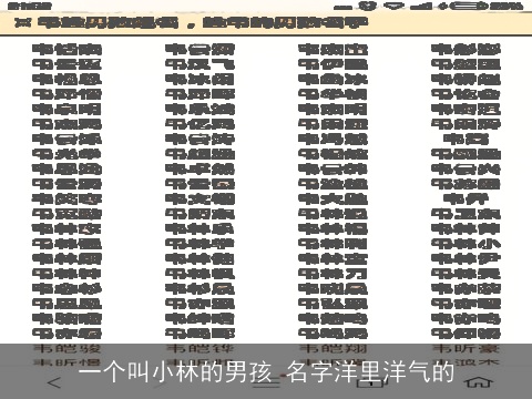 一个叫小林的男孩 名字洋里洋气的