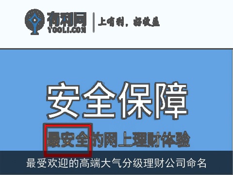 最受欢迎的高端大气分级理财公司命名