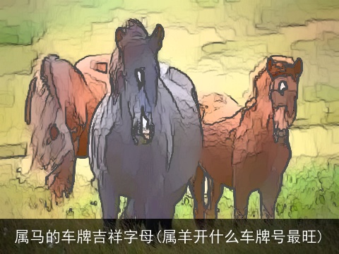 属马的车牌吉祥字母(属羊开什么车牌号最旺)
