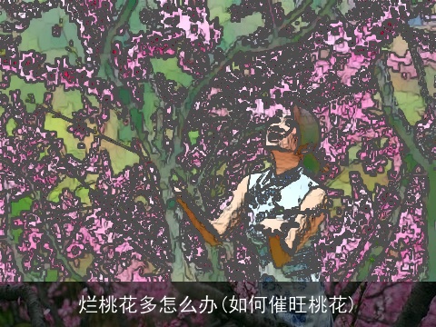 烂桃花多怎么办(如何催旺桃花)