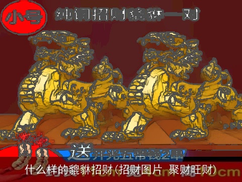 什么样的貔貅招财(招财图片 聚财旺财)