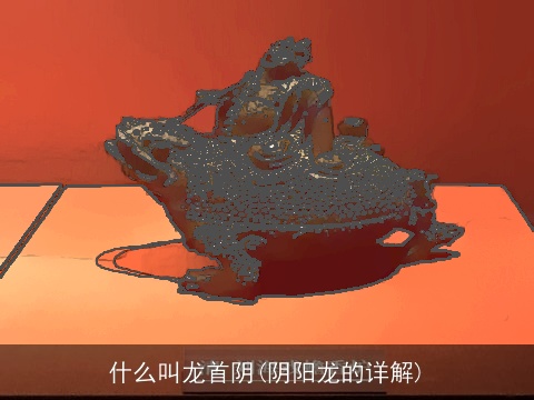 什么叫龙首阴(阴阳龙的详解)