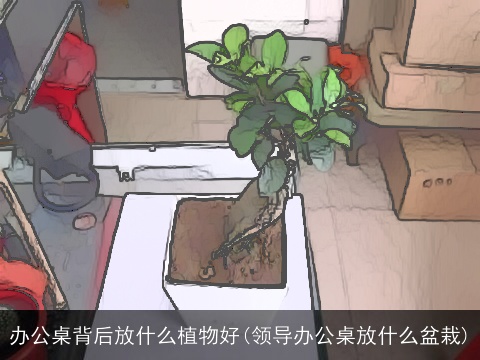 办公桌背后放什么植物好(领导办公桌放什么盆栽)