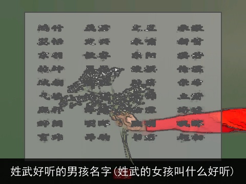 姓武好听的男孩名字(姓武的女孩叫什么好听)
