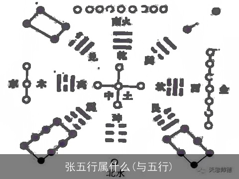 张五行属什么(与五行)