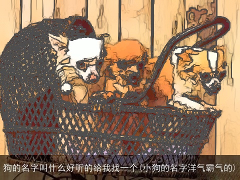 狗的名字叫什么好听的给我找一个(小狗的名字洋气霸气的)