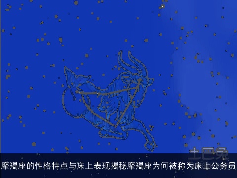 摩羯座的性格特点与床上表现揭秘摩羯座为何被称为床上公务员