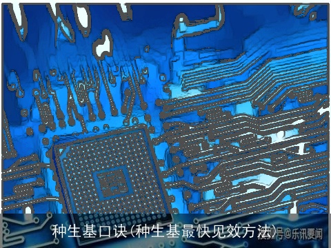 种生基口诀(种生基最快见效方法)