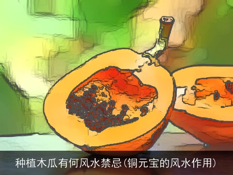 种植木瓜有何风水禁忌(铜元宝的风水作用)