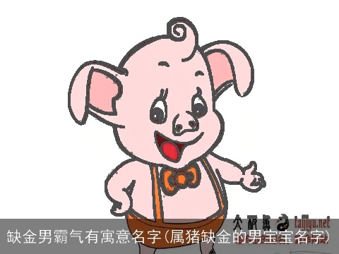缺金男霸气有寓意名字(属猪缺金的男宝宝名字)
