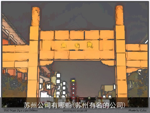 苏州公司有哪些(苏州有名的公司)