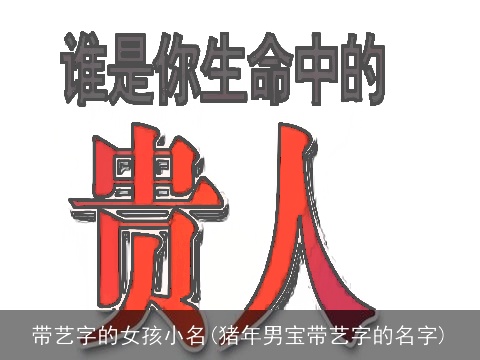 带艺字的女孩小名(猪年男宝带艺字的名字)