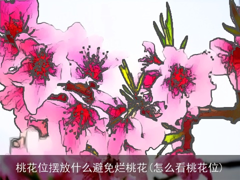 桃花位摆放什么避免烂桃花(怎么看桃花位)