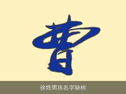 徐姓男孩名字缺树