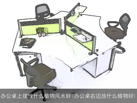 办公桌上摆放什么植物风水好(办公桌右边放什么植物好)