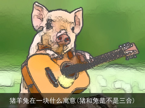 猪羊兔在一块什么寓意(猪和兔是不是三合)