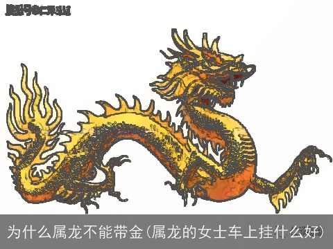 为什么属龙不能带金(属龙的女士车上挂什么好)