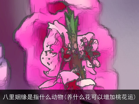 八里姻缘是指什么动物(养什么花可以增加桃花运)