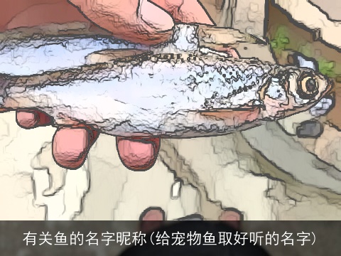有关鱼的名字昵称(给宠物鱼取好听的名字)