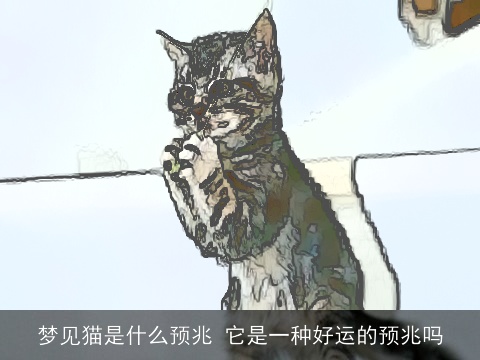 梦见猫是什么预兆 它是一种好运的预兆吗