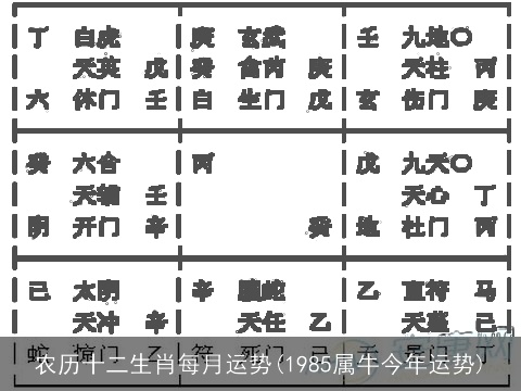 农历十二生肖每月运势(1985属牛今年运势)