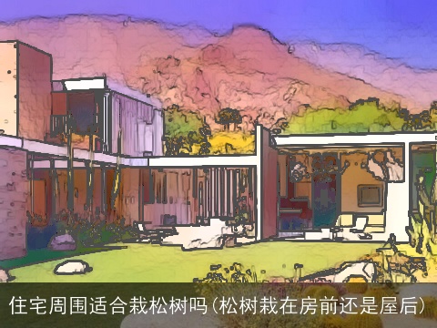 住宅周围适合栽松树吗(松树栽在房前还是屋后)