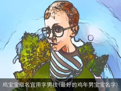 鸡宝宝取名宜用字男孩(最好的鸡年男宝宝名字)
