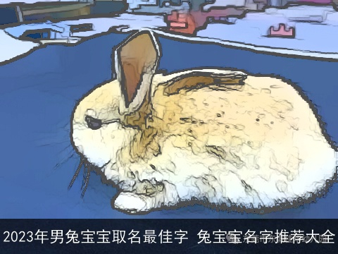 2023年男兔宝宝取名最佳字 兔宝宝名字推荐大全