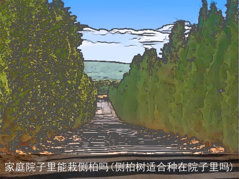 家庭院子里能栽侧柏吗(侧柏树适合种在院子里吗)